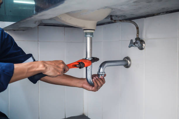 Best Commercial Plumbing Services  in Seville, FL