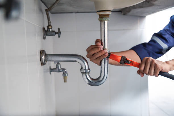 Best Local Plumber Services  in Seville, FL